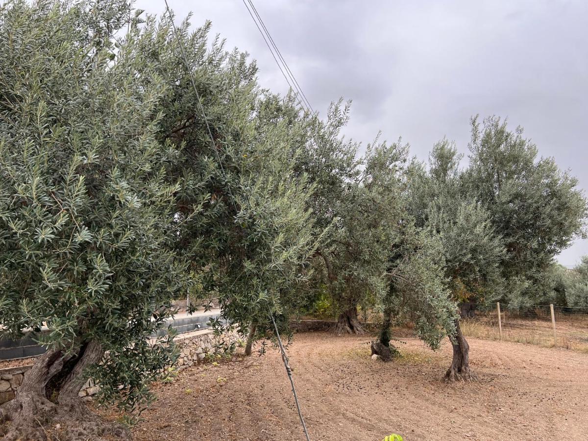 Casa Di Mirto Bed & Breakfast Chiaramonte Gulfi Dış mekan fotoğraf